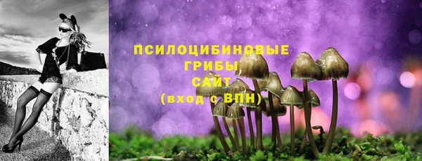 кокаин Белокуриха