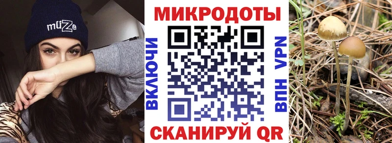 Псилоцибиновые грибы Psilocybe  цены наркотик  Няндома 